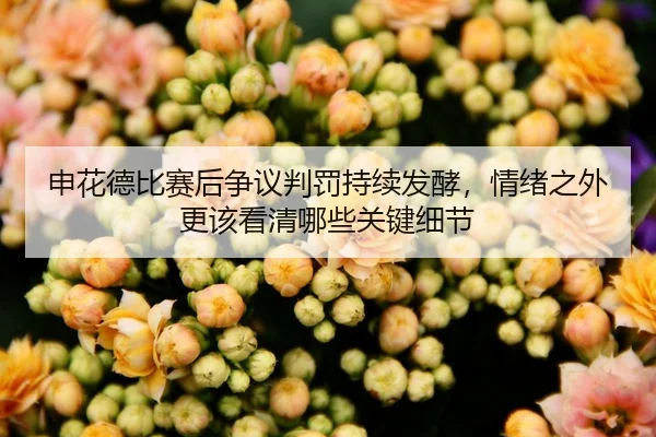 申花德比赛后争议判罚持续发酵，情绪之外更该看清哪些关键细节